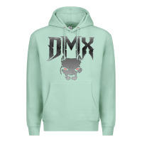 Seafoam dmx Premium Hoodie - artisFamous