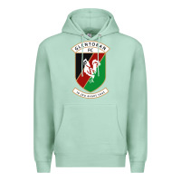 Seafoam glentoran Premium Hoodie - artisFamous