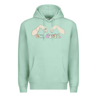 Seafoam ew david schitt's creek Premium Hoodie - artisFamous