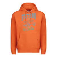 Carrot Stetson Personalized Name Birthday Gift Premium Hoodie - artisFamous