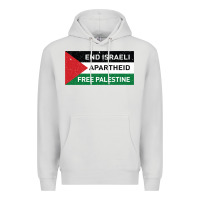 Dove Grey end is.rae.li apartheid free pales  flag  t shirt Premium Hoodie - artisFamous