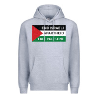 Heather Grey end is.rae.li apartheid free pales  flag  t shirt Premium Hoodie - artisFamous