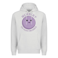 Dove Grey member berries Premium Hoodie - artisFamous