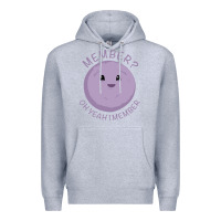 Heather Grey member berries Premium Hoodie - artisFamous