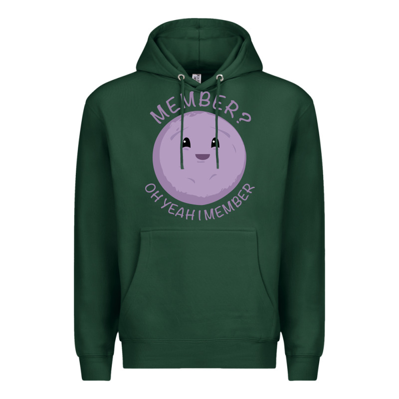 Member Berries Premium Hoodie by artisFamous | Teevron