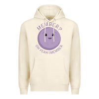 Tofu member berries Premium Hoodie - artisFamous