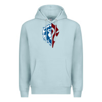 Blue Mist WORLD OF WARCRAFT MISTS OF PANDARIA HORDE Premium Hoodie - artisFamous