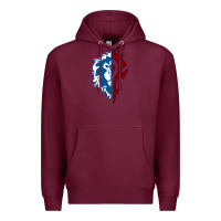 Burgundy WORLD OF WARCRAFT MISTS OF PANDARIA HORDE Premium Hoodie - artisFamous