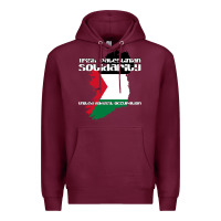 Burgundy irish palestinian solidarity Premium Hoodie - artisFamous