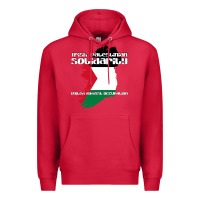 Cardinal irish palestinian solidarity Premium Hoodie - artisFamous