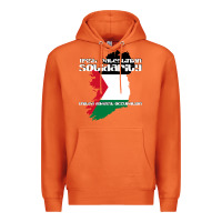 Carrot irish palestinian solidarity Premium Hoodie - artisFamous