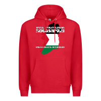 Red irish palestinian solidarity Premium Hoodie - artisFamous