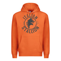 Carrot Italian Stallion Premium Hoodie - artisFamous