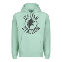 Seafoam Italian Stallion Premium Hoodie - artisFamous