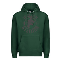 Sports Green Italian Stallion Premium Hoodie - artisFamous