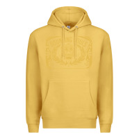 Antique Gold Bouncing Souls The Scream Of King Premium Hoodie - artisFamous