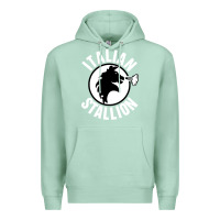 Seafoam italian stallion Premium Hoodie - artisFamous