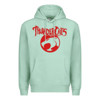 Thunders Cats Premium Hoodie | Teevron