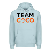 Blue Mist Team Coco Premium Hoodie - artisFamous