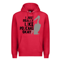 Cardinal i just really like pelicans okay Premium Hoodie - artisFamous