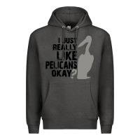Charcoal Heather i just really like pelicans okay Premium Hoodie - artisFamous
