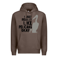 Coffee i just really like pelicans okay Premium Hoodie - artisFamous