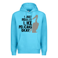 Ocean Blue i just really like pelicans okay Premium Hoodie - artisFamous