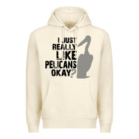 Sandshell i just really like pelicans okay Premium Hoodie - artisFamous