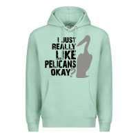 Seafoam i just really like pelicans okay Premium Hoodie - artisFamous