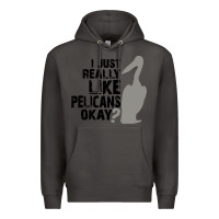Smoke i just really like pelicans okay Premium Hoodie - artisFamous