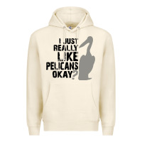 Tofu i just really like pelicans okay Premium Hoodie - artisFamous