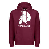 Spartan Helmet Premium Hoodie | Teevron