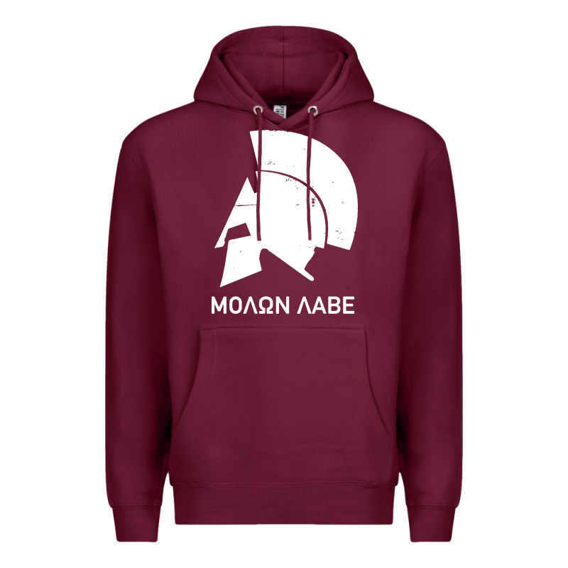 Spartan Helmet Premium Hoodie by artisFamous | Teevron