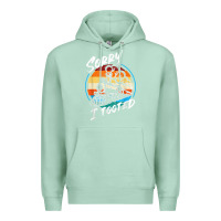 Seafoam sorry i tooted Premium Hoodie - artisFamous