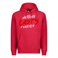 Cardinal Nothing lasts forever Premium Hoodie - artisFamous