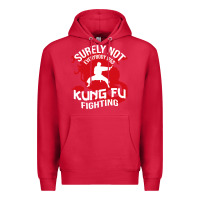 Cardinal surely not everybody was kung fu fighting Premium Hoodie - artisFamous