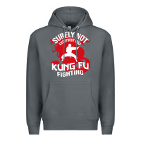 Rock surely not everybody was kung fu fighting Premium Hoodie - artisFamous