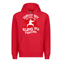Red surely not everybody was kung fu fighting Premium Hoodie - artisFamous