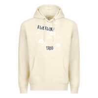 Sandshell alkaline trio Premium Hoodie - artisFamous