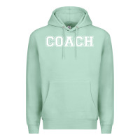 Seafoam coach Premium Hoodie - artisFamous