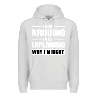 Dove Grey I'M NOT ARGUING I'M JUST EXPLAINING WHY I'M RIGHT FUNNY Premium Hoodie - artisFamous