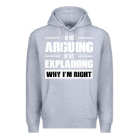 Heather Grey I'M NOT ARGUING I'M JUST EXPLAINING WHY I'M RIGHT FUNNY Premium Hoodie - artisFamous