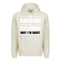 Oatmeal Heather I'M NOT ARGUING I'M JUST EXPLAINING WHY I'M RIGHT FUNNY Premium Hoodie - artisFamous