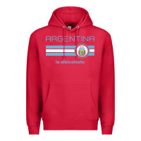 Cardinal soccer argentina jersey argentinian football la albiceleste Premium Hoodie - artisFamous