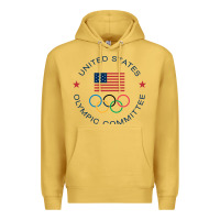 Antique Gold Olympic Rings Premium Hoodie - artisFamous