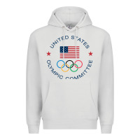 Dove Grey Olympic Rings Premium Hoodie - artisFamous
