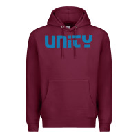 Burgundy unity Premium Hoodie - artisFamous