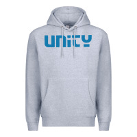 Heather Grey unity Premium Hoodie - artisFamous