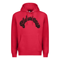 Cardinal techiniques Premium Hoodie - artisFamous