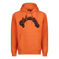 Carrot techiniques Premium Hoodie - artisFamous